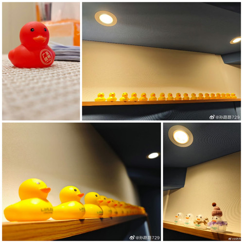 Collage 20240716 153307.jpg