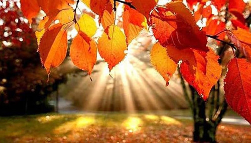 451383837 1033362438798979 4158820010432648892 n.jpg? nc cat=102&ccb=1 7& nc sid=833d8c& nc ohc=k9R4.jpg