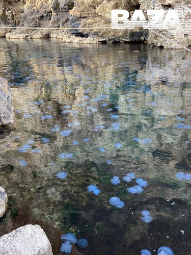 rDfnqbnd9E9Qc3bK 7kdaqoIxkaGMKO8xh368yAkF1j0Am I5cpQCiqj Y 5ww4gIdvtRPc79Izx188Db UH2fUj9ZiECQ50BXt2.jpg