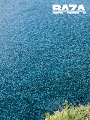 fVwocnaMUZFLnBA5i UVE6Ar8psy1pOSzJs8O 1wqDJOWI8Ri dZJsfzEtc5MwKUxGIbqlnJPBFW2n 0GuVAbXJOzoc NSMW 2w3.jpg