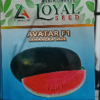 052147cceefb.png