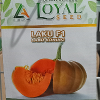 ce1640f9d332.png