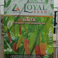 0f5906bdfa21.png