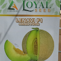 844f309236ca.png