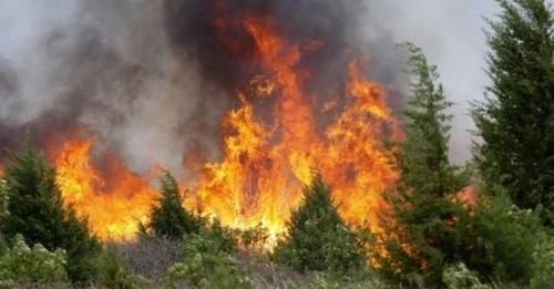 13159509426193984768?url=https%3A%2F%2Falbeu.com%2Fwp content%2Fuploads%2F2024%2F07%2Fzjarret.jpg&fb.jpg