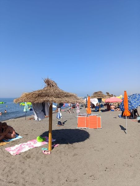 451082287 1006656271462488 5737211769367648114 n.jpg?stp=dst jpg s600x600& nc cat=105&ccb=1 7& nc si.jpg