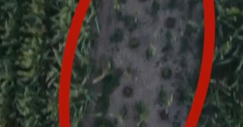 4107954336565937109?url=https%3A%2F%2Fwww.balkanweb.com%2Fwp content%2Fuploads%2F2024%2F07%2FCapture.jpg