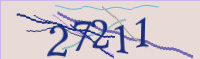 captcha.png