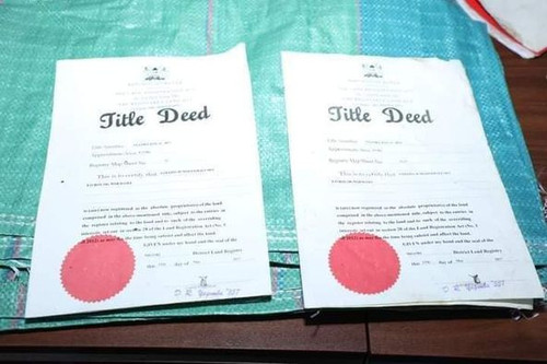 451021043 879100317577452 5246249395348884966 n.jpg?stp=dst jpg p526x395& nc cat=106&ccb=1 7& nc sid.jpg