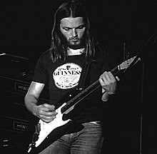 David Gilmour and stratocaster.jpg