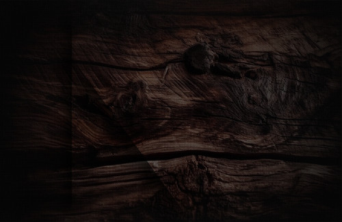 ağaç arkaplan faroz 2.jpg