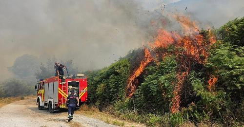 10186747473937447341?url=https%3A%2F%2Fshqiptarja.com%2Fuploads%2F780x440%2F1721070864 zjarr.jpg&fb .jpg