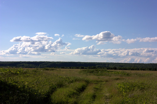 IMG 2284.jpg