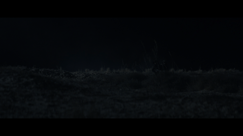 b7a40315226f.png