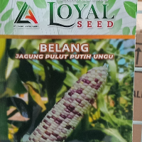3bb7cbd6b59b.png