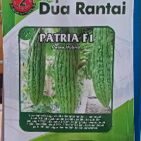d1da1c5b0e73.png