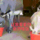 8BD79DF6 A833 4ECF AB13 7676C3604923.gif