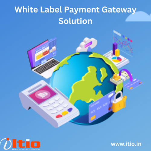 White Label Payment Gateway Solution.png