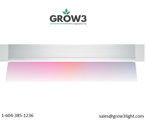 Optimize Plant Growth with Greenhouse LED Grow Lights from LED Smart Inc.jpg
