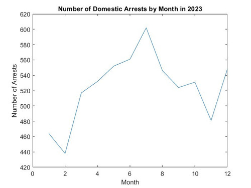 Domestic Arrests.jpg