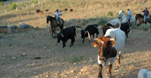 3343619812000832161?url=https%3A%2F%2Ffotografias.larazon.es%2Fclipping%2Fcmsimages01%2F2024%2F07%2F.jpg
