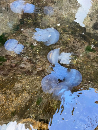 Nya04 88oOLCxNLr9tDNj 7Mft ii2FNPmKMvorcNMEo0 wi2PbEWHhGRmyIbVxHzq2aJlfsENaF7ABhtFZQ3 T7TgSxyT2XaVw1.jpg