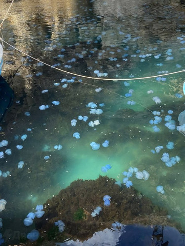 KSFaf3bnyPkWdYgQKFC06X6w1qzYPbZm9N3Jr9svgpJP9r8AWY1vG7JGt2gYeNbGtnSXoLJp0zce zLAQp5nNz9O ka35wUpCPaJ.jpg