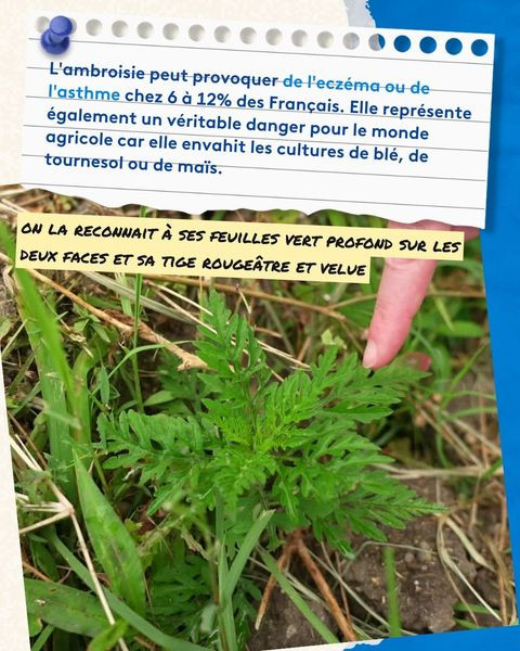 451288561 917962227037556 1747151381001578481 n.jpg?stp=dst jpg p480x480& nc cat=108&ccb=1 7& nc sid.jpg