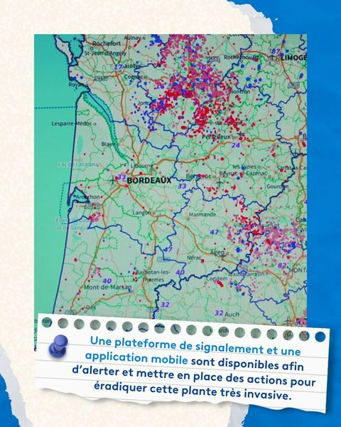 451560593 917962203704225 7771474651645092892 n.jpg?stp=dst jpg p480x480& nc cat=101&ccb=1 7& nc sid.jpg