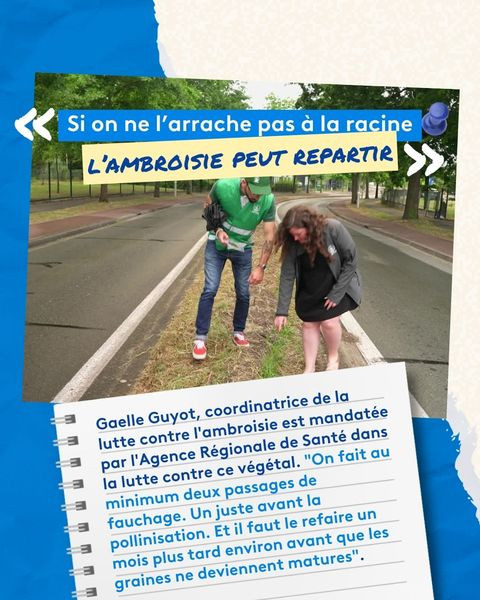 451513556 917962230370889 4153722236609959057 n.jpg?stp=dst jpg p480x480& nc cat=101&ccb=1 7& nc sid.jpg