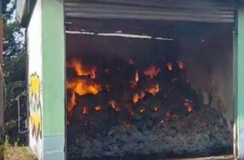 451011465 874051551408593 7445794355660189092 n.jpg? nc cat=107&ccb=1 7& nc sid=127cfc& nc ohc=fiXVP.jpg