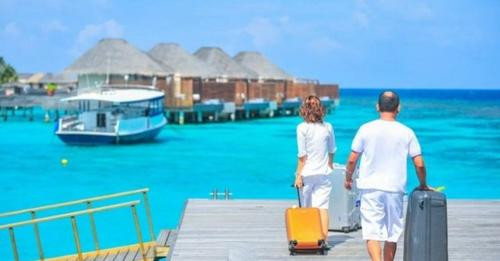 15805387070109702400?url=https%3A%2F%2Fwww.infoshqip.com%2Fwp content%2Fuploads%2F2024%2F07%2Fdeti b.jpg