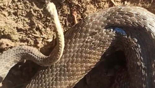 451104120 880070090814211 8334794028873652311 n.jpg?stp=dst jpg s600x600& nc cat=103&ccb=1 7& nc sid.jpg