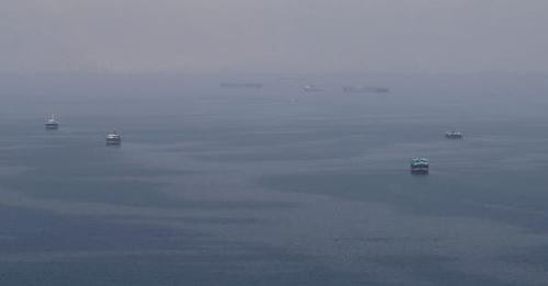 13971651708452386462?url=https%3A%2F%2Fvid.alarabiya.net%2Fimages%2F2019%2F08%2F01%2Fc5762955 1231 4.jpg