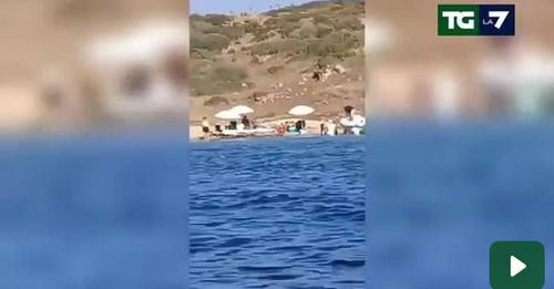 9826456757523064444?url=https%3A%2F%2Ftg.la7.it%2Fsites%2Fdefault%2Ffiles%2Fimage play%2F2024%2F07%2.jpg