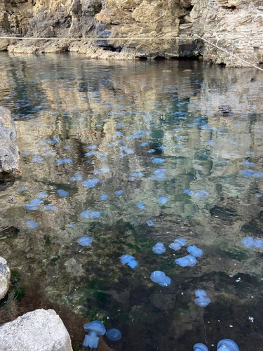 Ves9tjSiA8fdytkoR7lOsLZ0L5sgEorNHjMrIGYQj9vBJXLkbrzS3dKBO9ti jpoSMQqFTe9ZrLFJ6FOpCqAtx2D4tqByyBwUdh8.jpg