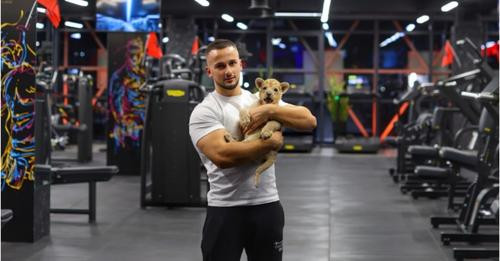 9512604172159040774?url=https%3A%2F%2Fgsh.top media.al%2Fmedia10%2FAMARILDOOO sd.jpg&fb obo=1&utld=t.jpg