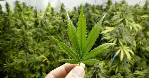 11168616761373451792?url=https%3A%2F%2Fcdnimpuls.com%2Fpiranjat.al%2Fmedia3%2F 1200 630 00ac531b537b.jpg