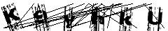 test.jpg