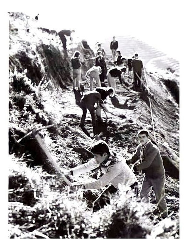 450724739 872767551551135 89512167623916505 n.jpg?stp=dst jpg p526x296& nc cat=110&ccb=1 7& nc sid=8.jpg