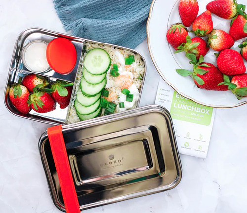 Sustainable & Durable Stainless Steel Bento Lunch Box | Ecozoi.jpg