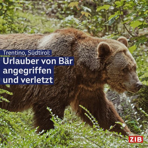 451535411 875542944621259 1089138310671982879 n.jpg?stp=dst jpg p526x296& nc cat=104&ccb=1 7& nc sid.jpg