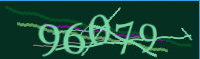 captcha.png