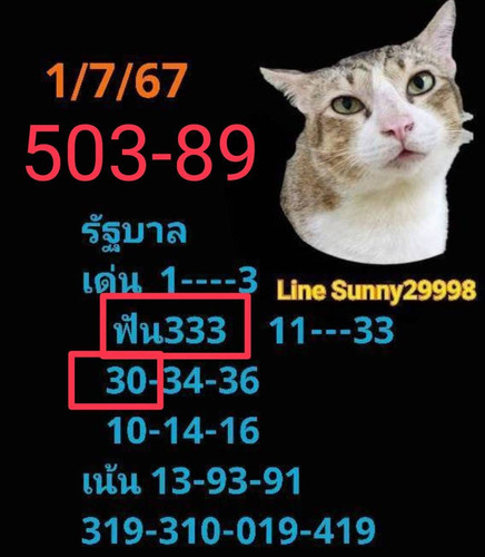 1.1.jpg