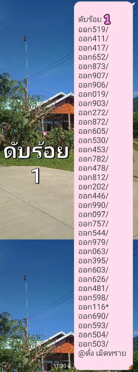 16.jpg