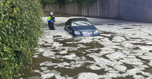 3627308709361364488?url=https%3A%2F%2Fimages.tagesschau.de%2Fimage%2F790ee8b2 1317 47d8 82a0 e5f02b7.jpg