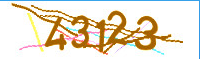 captcha.png