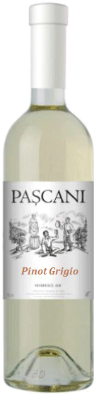 pascani pinot.png