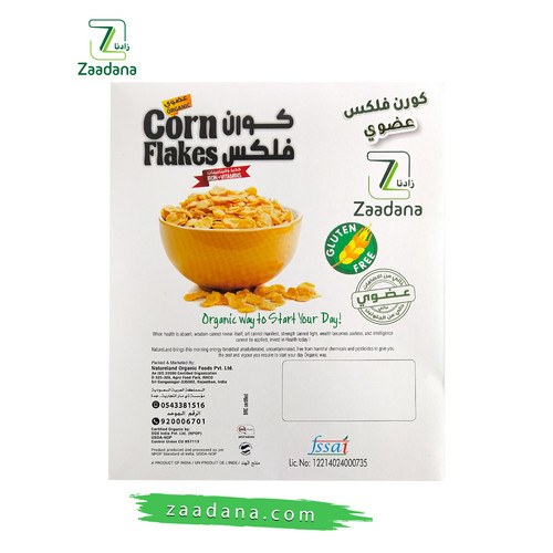 كورن فلكس 2 01.jpg