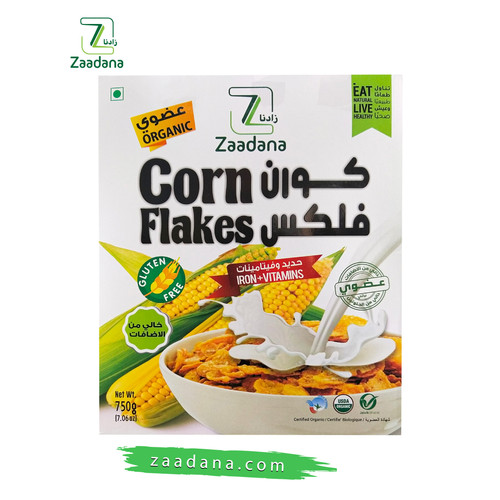 كورن فلكس 1 01.jpg
